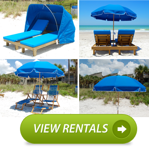 View Rental Information